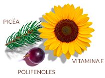 Complejo antioxidante patentado