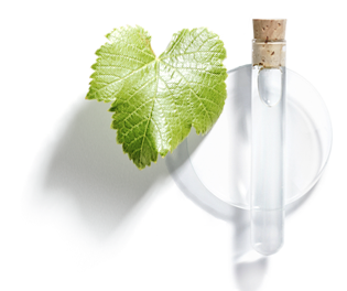 Viniferina